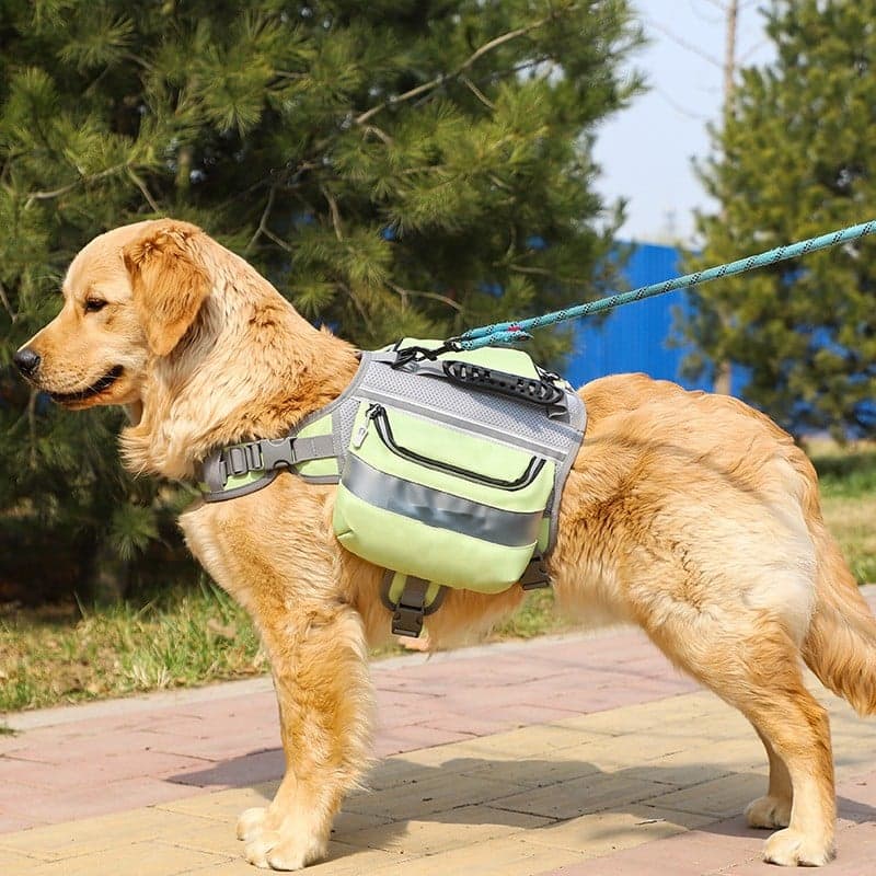 Adventure Dog Trail Backpack