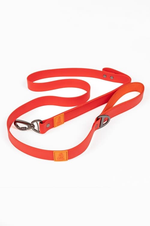 Waterproof Adventure Leash - alternate view